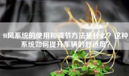 H风系统的使用和调节方法是什么？这种系统如何提升车辆的舒适度？