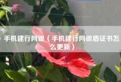 手机建行网银（手机建行网银盾证书怎么更新）