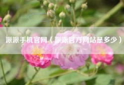 派派手机官网（派派官方网站是多少）