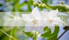 oppo手机X6（oppo手机x6pro多少钱）