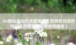 SEO网站核心的选择策略（如何优化你的网站在百度搜索引擎中的排名）