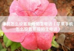 手机怎么设置拒接陌生电话（苹果手机怎么设置拒接陌生电话）