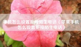 手机怎么设置拒接陌生电话（苹果手机怎么设置拒接陌生电话）
