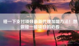 碰一下支付项目最新代理加盟方法！想做碰一碰项目的必看