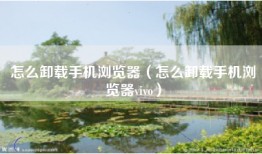 怎么卸载手机浏览器（怎么卸载手机浏览器vivo）