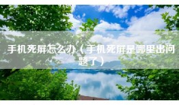 手机死屏怎么办（手机死屏是哪里出问题了）