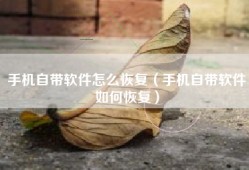 手机自带软件怎么恢复（手机自带软件如何恢复）