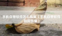 手机自带软件怎么恢复（手机自带软件如何恢复）