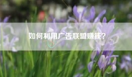 如何利用广告联盟赚钱？
