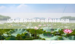 达人运营和自媒体运营有什么区别