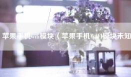 苹果手机wifi模块（苹果手机WIFI模块未知）