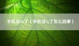 手机没4G了(手机没4g了怎么回事)
