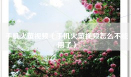 手机火萤视频（手机火萤视频怎么不能用了）