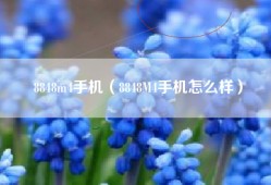 8848m4手机（8848M4手机怎么样）