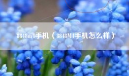 8848m4手机（8848M4手机怎么样）