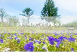 7寸手机壳（6寸手机壳）