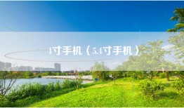 4寸手机（5.4寸手机）