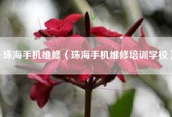 珠海手机维修（珠海手机维修培训学校）