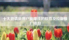 十大邀请新用户能赚钱的软件及拉新推广项目