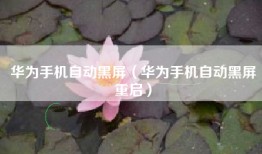 华为手机自动黑屏（华为手机自动黑屏重启）