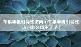 苹果手机引导式访问（苹果手机引导式访问怎么用不了了）