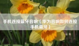 手机连接蓝牙音响（华为音响如何连接手机蓝牙）