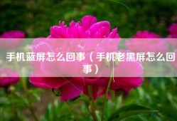 手机蓝屏怎么回事（手机老黑屏怎么回事）