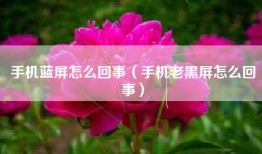 手机蓝屏怎么回事（手机老黑屏怎么回事）