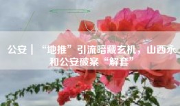 公安｜“地推”引流暗藏玄机，山西永和公安破案“解套”