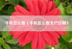 手机怎么看（手机怎么看生产日期）