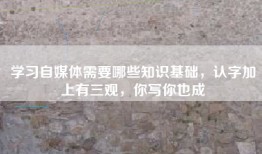 学习自媒体需要哪些知识基础，认字加上有三观，你写你也成