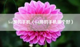 lcd屏的手机（lcd屏的手机哪个好）