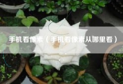 手机看像素（手机看像素从哪里看）