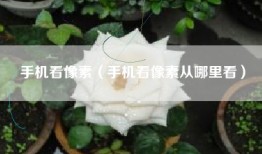 手机看像素（手机看像素从哪里看）