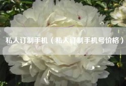 私人订制手机（私人订制手机号价格）