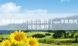 苹果手机格式化怎么操作（oppo手机格式化怎么操作）
