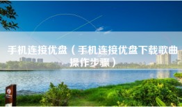 手机连接优盘（手机连接优盘下载歌曲操作步骤）