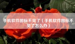 手机软件图标不见了（手机软件图标不见了怎么办）