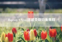 Haproxy+Nginx搭建负载均衡集群