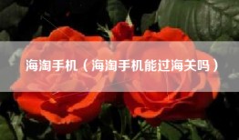 海淘手机（海淘手机能过海关吗）