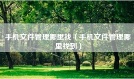 手机文件管理哪里找（手机文件管理哪里找到）