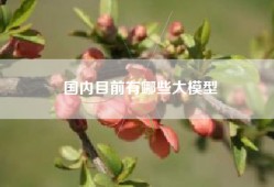 国内目前有哪些大模型