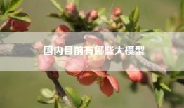国内目前有哪些大模型