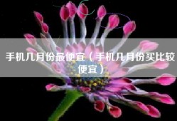 手机几月份最便宜（手机几月份买比较便宜）