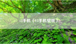 v3手机（V3手机壁纸）