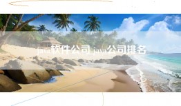 java软件公司 java公司排名