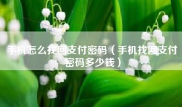 手机怎么找回支付密码（手机找回支付密码多少钱）