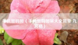 手机密码图（手机密码图案大全简单 九宫格）
