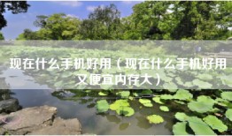 现在什么手机好用（现在什么手机好用又便宜内存大）