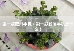 第一款触屏手机（第一款触屏手机是什么）